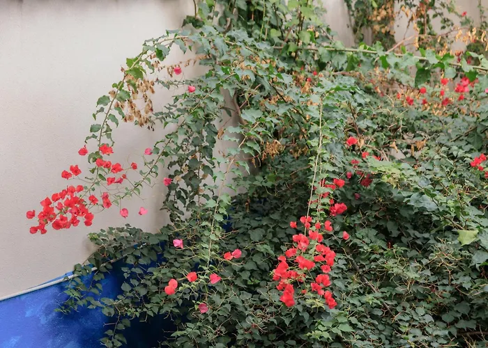 Housalia Gracia