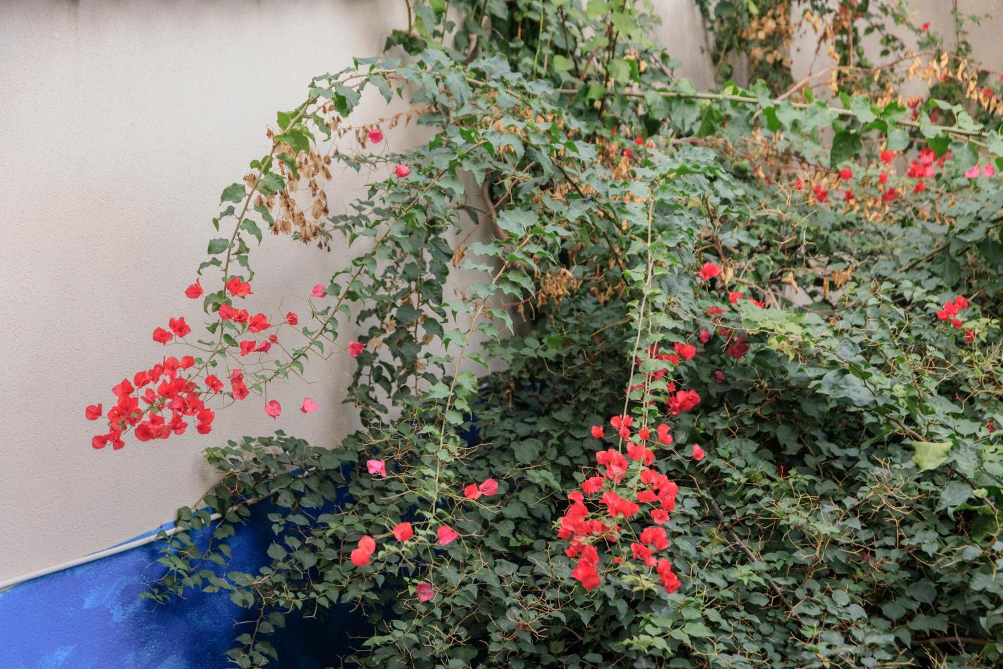 Appartamento Housalia Gracia